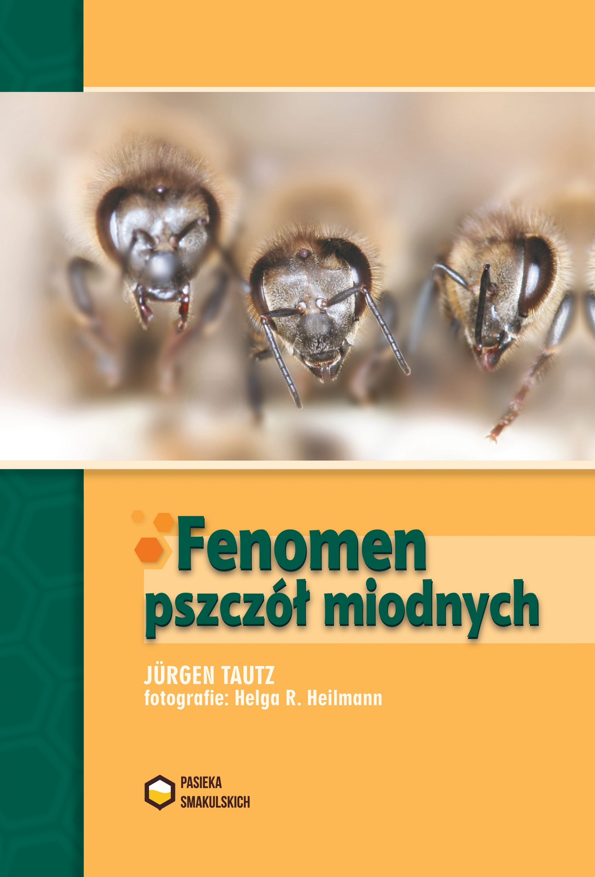 Fenomen