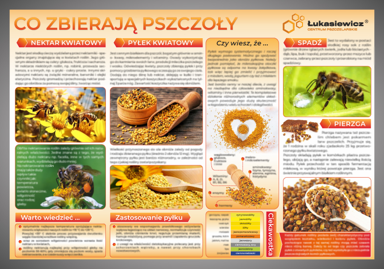 Tablica ser 2   co zbieraj%c4%84 pszczo%c5%81y