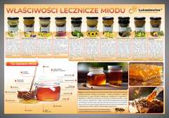 Tablica edukacyjna 60x42cm- WŁAŚCIWOŚCI LECZNICZE MIODU