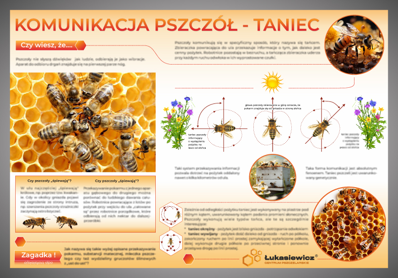 Tablica ser 2  1  komunikacja pszcz%c3%93%c5%81